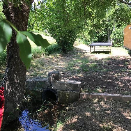 Gite Dans Le Sud Aveyron Saint-Affrique Εξωτερικό φωτογραφία